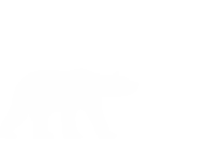 Opinion Bear